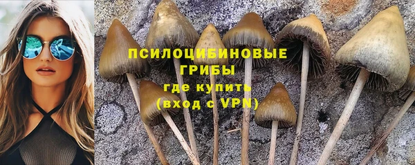мяу мяу мука Балабаново
