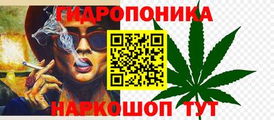 Альфа ПВП Лесосибирск