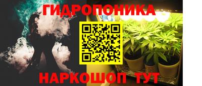 стаф Ливны