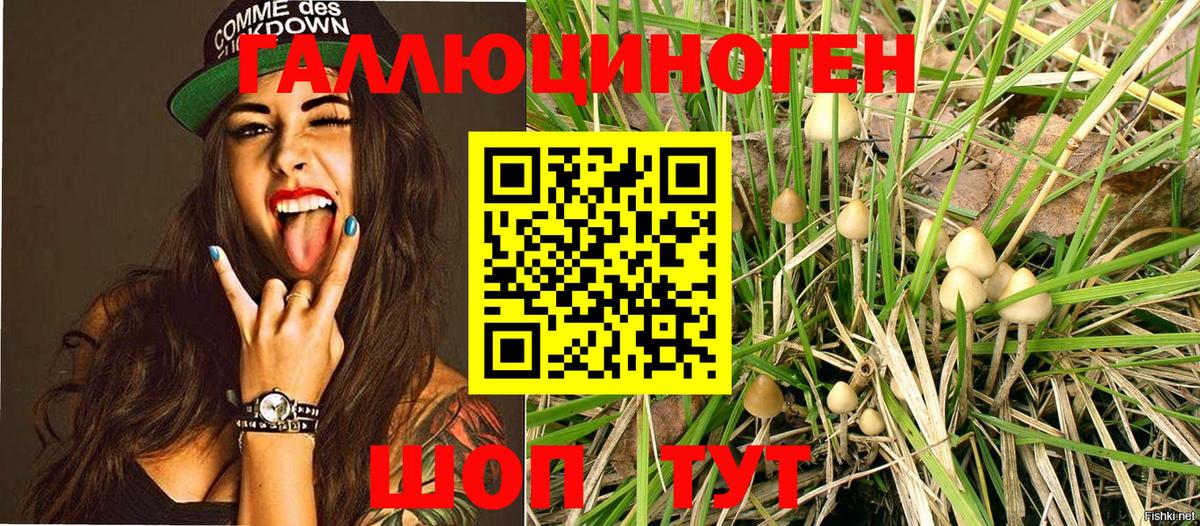Псилоцибиновые грибы Magic Shrooms Гурьевск