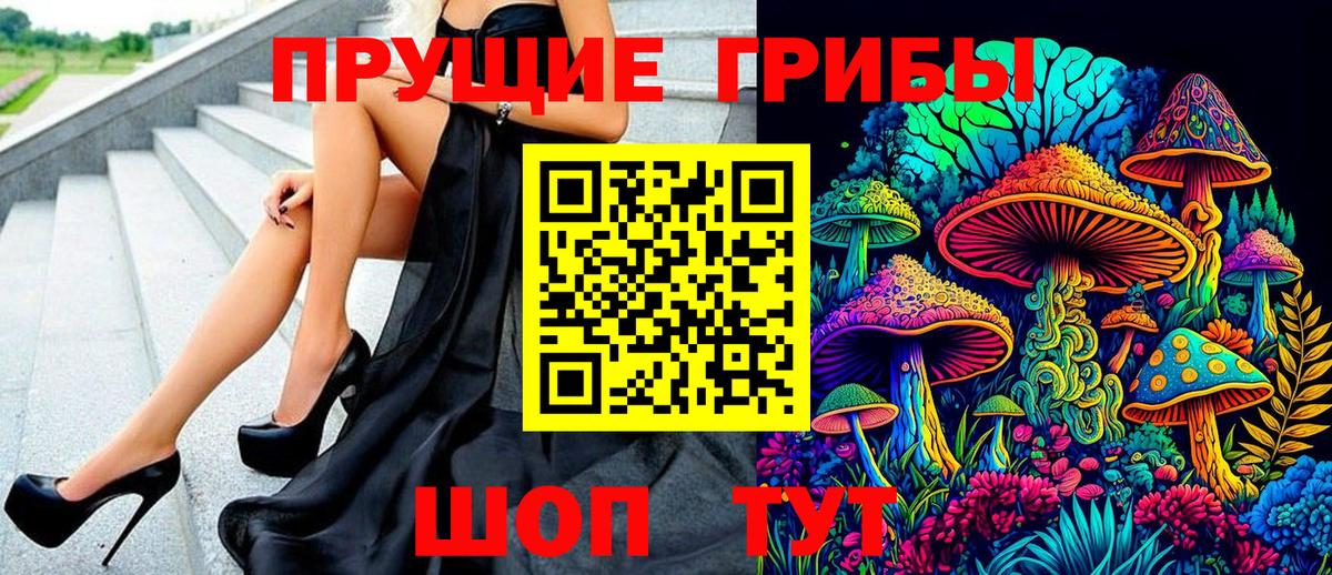 Гурьевск  Галлюциногенные грибы Cubensis  Вход с VPN 